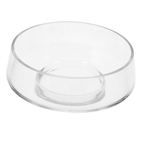 MILISTEN Moosterrarium Glaswaren große glasvase Innenraum Garten hydroponische vase deko große Schüssel Vase aus mundgeblasenem Glas Vermehrungsgefäße Schale Vase klare Vasen Transparent von Milisten