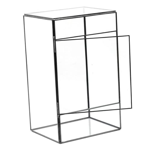 MILISTEN Öko-Desktop-Landschaftstank Geometrisches Pflanzenterrarium aus Glas Displayhalter im Querformat bürodeko büro Dekoration hausdeko klein Container Anlage Halterung schmücken Zinn von Milisten