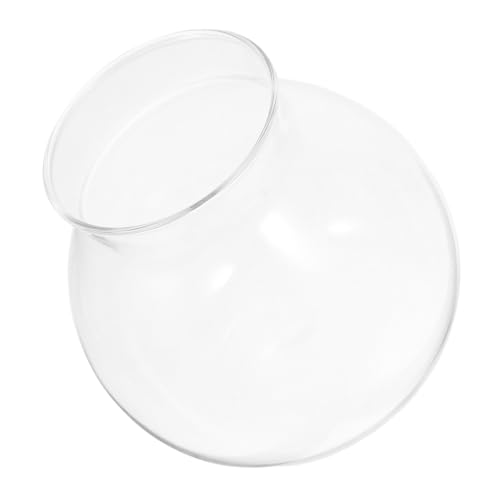 MILISTEN Ökologische Mikrolandschaftsflasche Tank Desktop Tischaquarium Anlage Moos Pflanzen Flasche Mini Aquarium Dekoration Luft empfindlich Glas mit hohem Borosilikatgehalt Transparent von Milisten