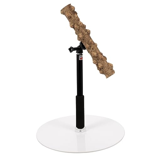 MILISTEN Vogel-spielständer Vogelsitzstange Aus Holz für Papageien Aras Nymphensittiche Finken Spielzeug für Vögel MILISTEN Vogel-spielständer Vogelsitzstange Aus Holz für Papageien Aras Nymphensittiche Finken Spielzeug für Vögel von Milisten