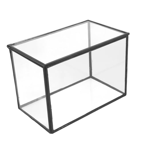 MILISTEN Pflanzenetui Gla -Terrarium Landschaftsbehälter Terrarienmoos Pflanzenterrarium Micro-landschaftshalter Moos Landschaft Container DIY-Terrarium Transparent Glas MILISTEN Pflanzenetui Gla -Terrarium Landschaftsbehälter Terrarienmoos Pflanzenterrarium Micro-landschaftshalter Moos Landschaft Container DIY-Terrarium Transparent Glas von Milisten