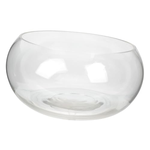MILISTEN Runder Transparenter Fischbowl aus Aquarien Schüssel für Pflanzen und Fische Tischdeko für Zuhause und Büro Hochwertige Hydrokultur Vase MILISTEN Runder Transparenter Fischbowl aus Aquarien Schüssel für Pflanzen und Fische Tischdeko für Zuhause und Büro Hochwertige Hydrokultur Vase von Milisten