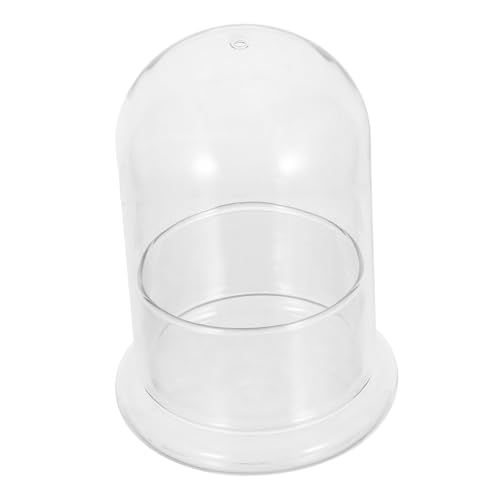 MILISTEN Terrarium mit Deckel Transparente Glasglocke für DIY Moos Mikrolandschaft Geschlossene Hydrokultur Flasche Platzsparendes Pflanzengefäß für Zuhause und Büro von Milisten