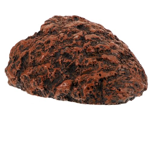 MILISTEN Versteckhöhle Aus Kunstharz Unterschlupf Für Schildkröten Und Eidechsen Sonnenplattform Realistischer Lebensraum Für Reptilien Lichtechtes Design von Milisten