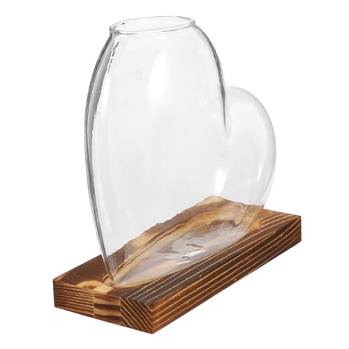 MILISTEN hydroponische Vase Fensterausbreitungsstationen Desktop-Vermehrungsstation Hydrokulturvase Hydroponische Blumenvase Terrarienglas aus Glas Hydrokultur-Glasvase hölzern Transparent von Milisten
