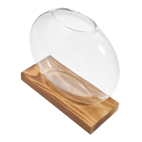 MILISTEN Hydrokultur Rahmen Blumentopf Glas Für Pflanzen Desktop Ausbreitung MILISTEN Hydrokultur Rahmen Blumentopf Glas Für Pflanzen Desktop Ausbreitung von Milisten