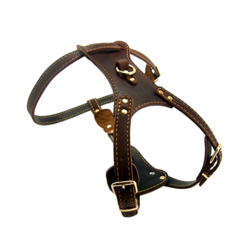 MILISTEN Luxuriöses Haustierhalsband Großer Brustgurt Hundehalskette Modischer Haustierbedarf Bequeme Passform Für Mittelgroße Und Große Hunde Sicheres Material Für Outdoor-aktivitäten MILISTEN Luxuriöses Haustierhalsband Großer Brustgurt Hundehalskette Modischer Haustierbedarf Bequeme Passform Für Mittelgroße Und Große Hunde Sicheres Material Für Outdoor-aktivitäten von Milisten