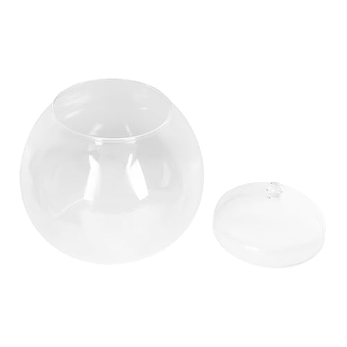 Milisten 1 Satz Ökologische Mikrolandschaftsflasche Tank Uv-licht Makramee Pflanzen Reiniger Terrarienschale Mit Deckel Anlage Filter Wasserflasche Automatisch Pumpe Im Freien Glas Milisten 1 Satz Ökologische Mikrolandschaftsflasche Tank Uv-licht Makramee Pflanzen Reiniger Terrarienschale Mit Deckel Anlage Filter Wasserflasche Automatisch Pumpe Im Freien Glas von Milisten