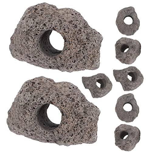 Milisten 10 Stück Teiliges Aquarium Vulkanstein Dekor Schwarz Pflanzenhalter und Fischbecken Ornament für Süßwasser Stabile Pflanzenfixierung Dekorative Höhle für Schutz und Natürliche Milisten 10 Stück Teiliges Aquarium Vulkanstein Dekor Schwarz Pflanzenhalter und Fischbecken Ornament für Süßwasser Stabile Pflanzenfixierung Dekorative Höhle für Schutz und Natürliche von Milisten