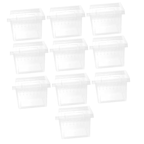 Milisten 10 Stück Teiliges Transparentes Reptilien Zuchtset Kleine Aufzuchtbox für Spinnen Schlangen Geckos und Praktische Futter und Beobachtungsbox für Haustiere Milisten 10 Stück Teiliges Transparentes Reptilien Zuchtset Kleine Aufzuchtbox für Spinnen Schlangen Geckos und Praktische Futter und Beobachtungsbox für Haustiere von Milisten