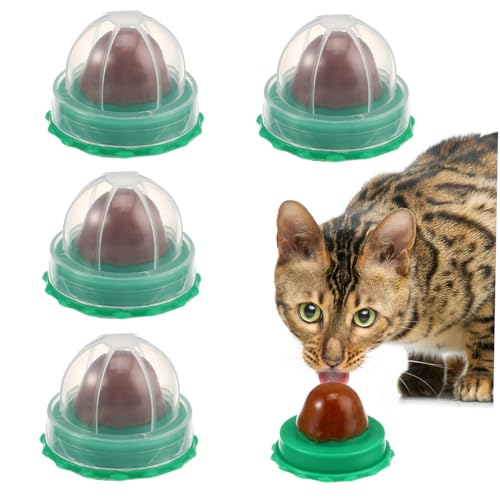 Milisten Cat Energy Ball 15 Stück Katzenbonbons Zum Lecken Leckspaß Lecksüßigkeit Haustier Snack Wand Katzenminze Zuckersnacks Leckereien Katzenleckball Katzenminze Lutscher Katzenminze Milisten Cat Energy Ball 15 Stück Katzenbonbons Zum Lecken Leckspaß Lecksüßigkeit Haustier Snack Wand Katzenminze Zuckersnacks Leckereien Katzenleckball Katzenminze Lutscher Katzenminze von Milisten