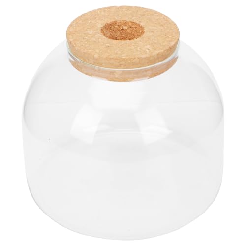 Milisten 1Satz DIY Mikrolandschaftsflasche Glaskaraffe für Moos Terrarium Kreative Pflanzenvitrine für Wohnzimmer Schlafzimmer Büro Einfach zu Reinigen mit Holzverschluss von Milisten