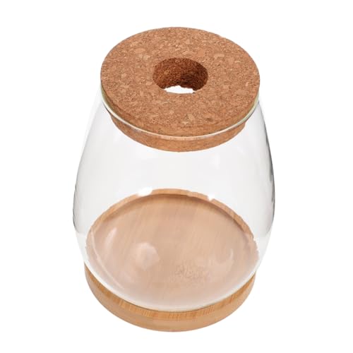 Milisten 1Satz DIY Pflanzen Terrarium Glasterrarium mit Deckel für Hydroponik Mikrolandschaftsflasche für Tischdeko und Innen Sowie Außenbereich Transparent von Milisten