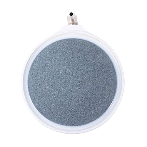 Milisten 1Stk Blasenstein aufblasbarer Pool Aquarium Pumpe Futterspender Luft Panzer sauerstoffpumpe für teich sauerstoffstein für teich Blasendiffusor Sauerstoffdiffusor für Aquarien Nano Milisten 1Stk Blasenstein aufblasbarer Pool Aquarium Pumpe Futterspender Luft Panzer sauerstoffpumpe für teich sauerstoffstein für teich Blasendiffusor Sauerstoffdiffusor für Aquarien Nano von Milisten