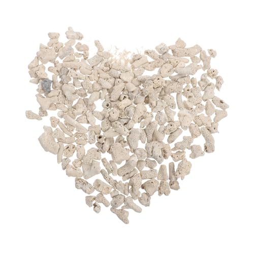 Milisten 2 Packungen Korallenstein Korallenblock Tank Ornamente Dekorationen Teiche Schwamm Aquarium kies Aquarium Zubehör Aquarium Natursteine Aquarienverzierung korallenartige Felsen Weiß Milisten 2 Packungen Korallenstein Korallenblock Tank Ornamente Dekorationen Teiche Schwamm Aquarium kies Aquarium Zubehör Aquarium Natursteine Aquarienverzierung korallenartige Felsen Weiß von Milisten