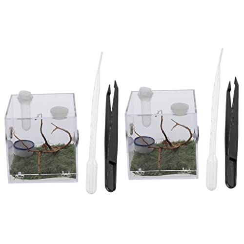 Milisten 2 Sätze Gehäuse Tank Springen Springspinne Sich Zucht groß Fütterung Fall Spinnengehege Lebensraum Käfig Zubehör für Sprunggehege Container Acryl Milisten 2 Sätze Gehäuse Tank Springen Springspinne Sich Zucht groß Fütterung Fall Spinnengehege Lebensraum Käfig Zubehör für Sprunggehege Container Acryl von Milisten