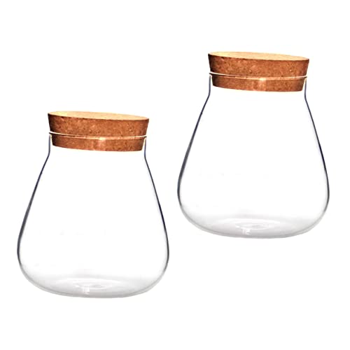 Milisten 2 Stück Flasche aus Korkglas Mikro-Landschaftsglas Mikrolandschaft Terrarium Verschlussglas aus Glas Kanister mit Glasverschluss Display-Topf Hausbedarf Holz Brown Milisten 2 Stück Flasche aus Korkglas Mikro-Landschaftsglas Mikrolandschaft Terrarium Verschlussglas aus Glas Kanister mit Glasverschluss Display-Topf Hausbedarf Holz Brown von Milisten