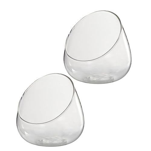 Milisten 2 Stück Glasflaschen für Landschaften Aufbewahrungsgläser für Sukkulenten und Dekoration für Wohnzimmer Schlafzimmer Reinigen Milisten 2 Stück Glasflaschen für Landschaften Aufbewahrungsgläser für Sukkulenten und Dekoration für Wohnzimmer Schlafzimmer Reinigen von Milisten