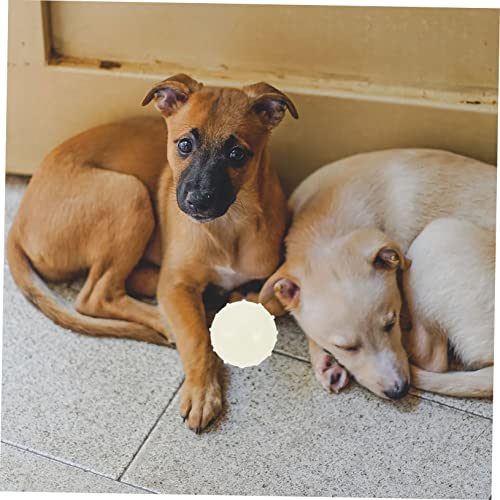 Milisten 2 Stück Leuchtender Gummiball für Hunde Robustes Sicheres Kauspielzeug Interaktives Beißfestes Hundespielzeug für Drinnen und Draußen Quietschfunktion von Milisten