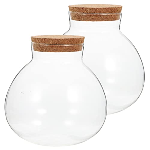 Milisten 2 Stück Öko Flaschen Große Terrarienflasche Hydrokultur Tischterrarien Moos Terrarien Für Den Innenbereich Mikrolandschaftsflasche Terrarienglas Versiegeltes Terrarium von Milisten