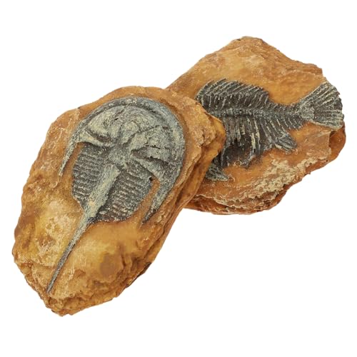 Milisten 2 Stück Simulation Reptilien Terrarium Deko Resin Fossil Ornamente Schlangen Gecko Box Dekoration Langlebig Farbintensiv Naturgetreu für Terrarien Landschaft Gestaltung von Milisten