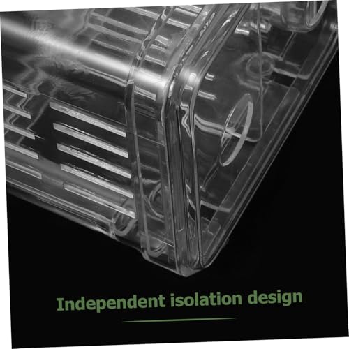 Milisten 2 Stück Teiliges Acryl Fischzucht Isolationsbox mit Saugnapf Kleines Aufzuchtbecken für Aquarien Sicherer Brutraum für Guppy Clownfisch und Garnelen Installieren Reinigen Milisten 2 Stück Teiliges Acryl Fischzucht Isolationsbox mit Saugnapf Kleines Aufzuchtbecken für Aquarien Sicherer Brutraum für Guppy Clownfisch und Garnelen Installieren Reinigen von Milisten