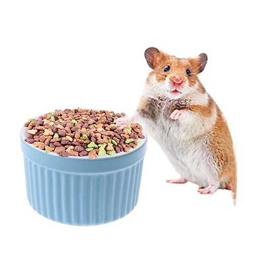 Milisten Futternapf Aus Keramik Rund Für Hamster Haustiere Leicht Einfach Zu Tragen Milisten Futternapf Aus Keramik Rund Für Hamster Haustiere Leicht Einfach Zu Tragen von Milisten