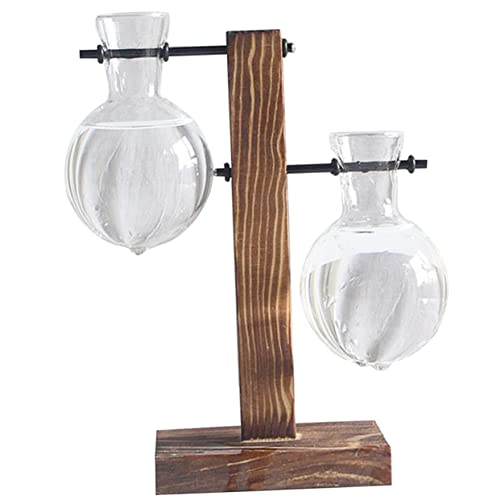 Milisten 2stücke Glasvase Für Hydrokultur Transparentes Behältnis Mit Holzständer Geeignet Für Zimmerpflanzen Home Office Dekoration Temperaturbeständig Und Bruchfest Milisten 2stücke Glasvase Für Hydrokultur Transparentes Behältnis Mit Holzständer Geeignet Für Zimmerpflanzen Home Office Dekoration Temperaturbeständig Und Bruchfest von Milisten