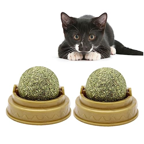 Milisten Katzenspielzeug 4er-Pack Multifunktional Minze Fördert Die Gesundheit Katzensnacks Süßigkeiten -aufklebspielzeug Grün Milisten Katzenspielzeug 4er-Pack Multifunktional Minze Fördert Die Gesundheit Katzensnacks Süßigkeiten -aufklebspielzeug Grün von Milisten