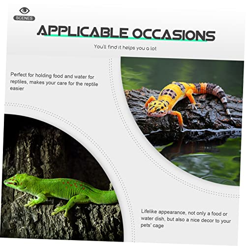 Milisten 4 Stück Teiliges Futter und Wassernapf aus Langlebigem Resin für Kriechende Haustiere Rutschfestes Design Verhindert Verschütten Geeignet für Geckos Schildkröten Schlangen und Milisten 4 Stück Teiliges Futter und Wassernapf aus Langlebigem Resin für Kriechende Haustiere Rutschfestes Design Verhindert Verschütten Geeignet für Geckos Schildkröten Schlangen und von Milisten