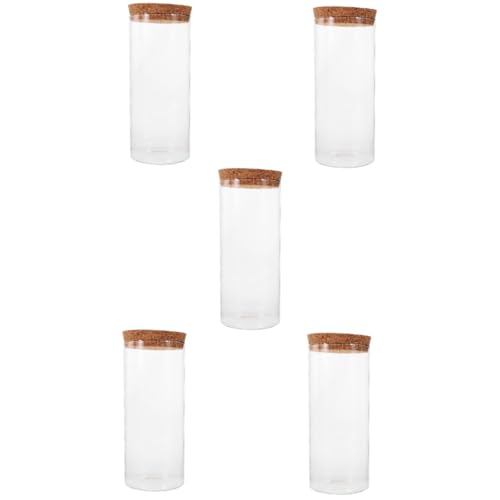 Milisten 5 Stück Moss Plant Bottle Transparente Glasvase für Terrarien DIY Landschaftsflasche für Tischdekoration Höhe mit Korkverschluss für Drinnen und Draußen von Milisten