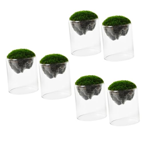 MILISTEN 6 STK Moosflasche Glas Hängender Pflanzer Schreibtischglobus Glasflasche Für Moos Moosdekor Terrarium Glas Mit Hohem Borosilikatgehalt Anlage Blick Auf Die Berge von Milisten