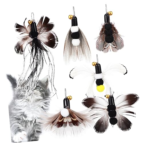 Milisten 6 Stück Teiliges Katzenspielzeug Ersatzköpfe mit Glocke Langlebige Katzenangel Aufsätze Vielseitig für Indoor Katzen und Kätzchen Einfach Austauschbar Fördert Bewegung und Milisten 6 Stück Teiliges Katzenspielzeug Ersatzköpfe mit Glocke Langlebige Katzenangel Aufsätze Vielseitig für Indoor Katzen und Kätzchen Einfach Austauschbar Fördert Bewegung und von Milisten