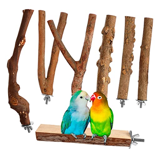 Milisten 7Stücke Teiliges Vogelspielzeug Aus Natürlichem Holz Für Papageien Und Kleine Rutsch Design Halterungen Vogelkäfig Zubehör Für Sicheres Stehen Milisten 7Stücke Teiliges Vogelspielzeug Aus Natürlichem Holz Für Papageien Und Kleine Rutsch Design Halterungen Vogelkäfig Zubehör Für Sicheres Stehen von Milisten