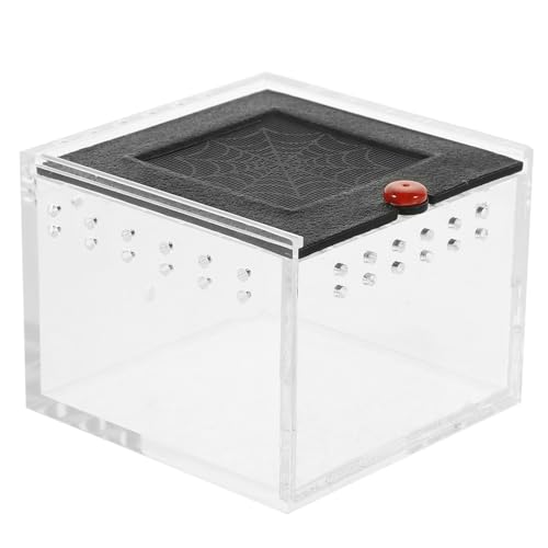 Milisten Viewing Reptile Terrarium Atmungsaktive Futterbox Für Reptilien Für Schlangen Spinnen Frösche Und Mehr Transparente Belüftete Zuchtbox Zur Beobachtung Und Pflege Von Reptilien Milisten Viewing Reptile Terrarium Atmungsaktive Futterbox Für Reptilien Für Schlangen Spinnen Frösche Und Mehr Transparente Belüftete Zuchtbox Zur Beobachtung Und Pflege Von Reptilien von Milisten