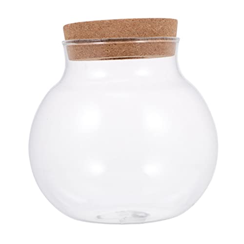 Milisten Sukkulente Pflanze Flasche Landschaftsbau Glas Betta Fisch Tank Home Dekoration-Landschaft Milisten Sukkulente Pflanze Flasche Landschaftsbau Glas Betta Fisch Tank Home Dekoration-Landschaft von Milisten