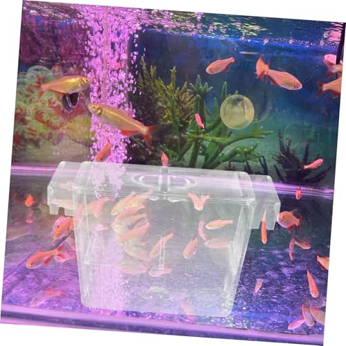Milisten Aquarium Inkubator Fischzuchtbox aus Robustem Feines Mesh Design zur Sicheren Fischisolation Erhöht Überlebensrate für Aufzuchtbecken und Laichkasten Einfach zu Montieren und Milisten Aquarium Inkubator Fischzuchtbox aus Robustem Feines Mesh Design zur Sicheren Fischisolation Erhöht Überlebensrate für Aufzuchtbecken und Laichkasten Einfach zu Montieren und von Milisten