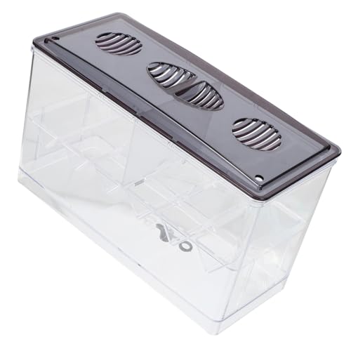 Milisten Aquarium Zuchtbox Transparent Isolierbox mit DREI Kammern und Belüftung Klare Brutkasten für Betta Garnelen Guppy Praktisches Laichbecken Zubehör für Fischaufzucht und Milisten Aquarium Zuchtbox Transparent Isolierbox mit DREI Kammern und Belüftung Klare Brutkasten für Betta Garnelen Guppy Praktisches Laichbecken Zubehör für Fischaufzucht und von Milisten