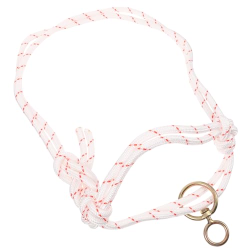 Milisten Cattle Halter Tragbares Verstellbares Halfter für Kühe mit Strapazierfähigem Material Handgefertigtes Robustes und Komfortables Rinderhalfter für Stall und Auslauf Milisten Cattle Halter Tragbares Verstellbares Halfter für Kühe mit Strapazierfähigem Material Handgefertigtes Robustes und Komfortables Rinderhalfter für Stall und Auslauf von Milisten