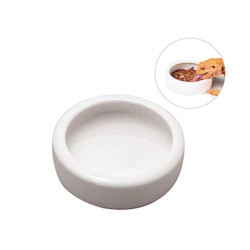 Milisten Crawler Pet Feeder Bowl Keramische Futterschale für Garnelen Fische und Reptilien rutschfest und Langlebig Milisten Crawler Pet Feeder Bowl Keramische Futterschale für Garnelen Fische und Reptilien rutschfest und Langlebig von Milisten