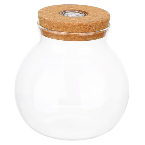 Milisten DIY LED Terrariumflasche mit Holzdeckel Glasflasche für Mikrolandschaften Dekorativ mit Licht für Pflanzen und Aquarien Kompakt und Langlebig für Milisten DIY LED Terrariumflasche mit Holzdeckel Glasflasche für Mikrolandschaften Dekorativ mit Licht für Pflanzen und Aquarien Kompakt und Langlebig für von Milisten
