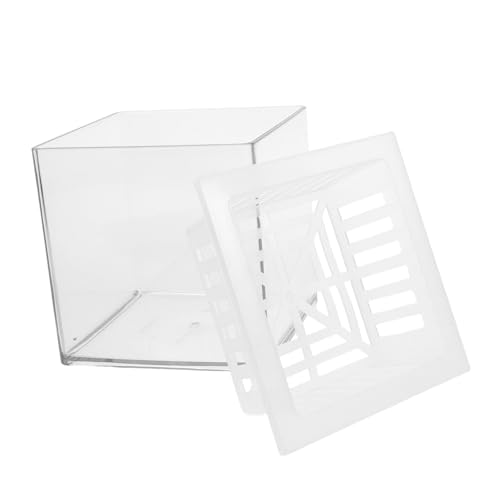 Milisten Desktop-Aquarium, Durchsichtige Pflanzenvermehrungsstation Aus Kunststoff Mit Pflanzenkorb, Betta-fischtank, Fischschale, Terrarium Für Büro Und Zuhause Milisten Desktop-Aquarium, Durchsichtige Pflanzenvermehrungsstation Aus Kunststoff Mit Pflanzenkorb, Betta-fischtank, Fischschale, Terrarium Für Büro Und Zuhause von Milisten