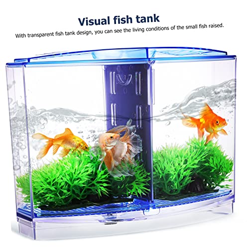 Milisten Desktop Aquarium mit Kunststoff Fischtank mit Trennwand und Künstlichen Pflanzen Dekoratives Fischzuchtbecken für Schreibtisch Transparent und Blau Einfach zu Reinigen von Milisten