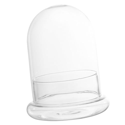 Milisten Glasflasche Öko-Terrarium Mit Cloche Kreative Desktop-deko Für Pflanzen Und Blumen Großer Klarer Glasbehälter Landschaften Und Moos Für Zuhause Büro Und Garten von Milisten