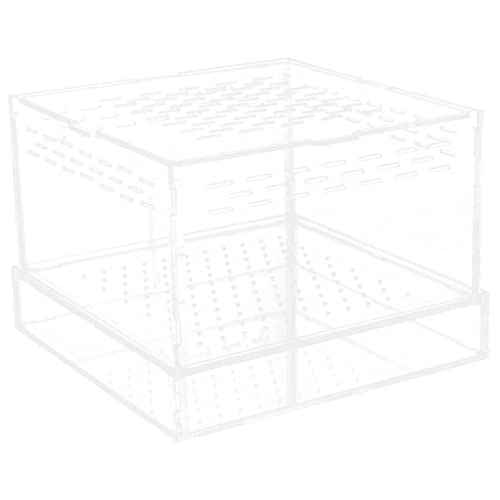 Milisten Gerstenwurm -Fütterungsbox Zubehör für Schlangengehege Gecko Reptilienterrarium Zuchtset für Mehlwürmer Behälter für Mehlwürmer Faunarium Acryl Transparent von Milisten