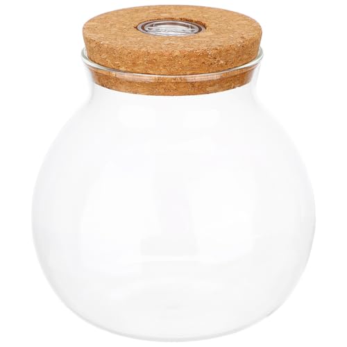 Milisten Glas-Propagation-vase mit Led-licht und Korkverschluss Runde Hydroponische Desktop-Terrarium-Flasche Vielseitig für Zimmerpflanzen und Dekorative Flasche von Milisten