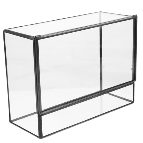 Milisten Glas Terrarium Behälter Ökologischer Mooshalter Mini Landschaftsbox Handgefertigt Dekorativer Pflanzenhalter für Desktop Wohnzimmer von Milisten