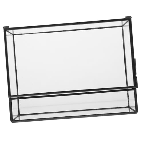 Milisten Glas Terrarium Miniatur Ökosystem Vase Handgefertigt Geometrisch Dekorativer Pflanzhalter für kleine Landschaften Geeignet für Büro Balkon für Moos und Steine von Milisten