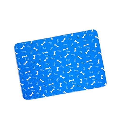 Milisten Hundetoilettentraining Pad Wasserabsorbierende und rutschfeste Haustierunterlage Blau S für Bequemes und Sicheres Training Waschbar und Langlebig Milisten Hundetoilettentraining Pad Wasserabsorbierende und rutschfeste Haustierunterlage Blau S für Bequemes und Sicheres Training Waschbar und Langlebig von Milisten