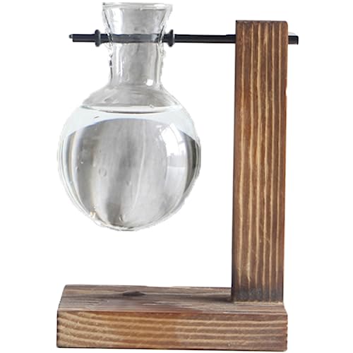 Milisten Hydroponische Glasvase Mit Holzständer Stilvolle Blumenpflanze Terrarium Für Innendekoration Hochborosilikat Glas Temperaturbeständig Als Für von Milisten